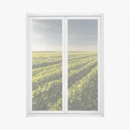 Pegatina para ventana campo de soja al atardecer – Pixers®