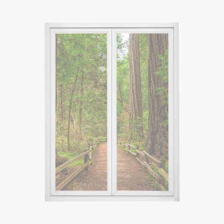 Pegatina para ventana sendero entre secuoyas milenarias – Pixers®