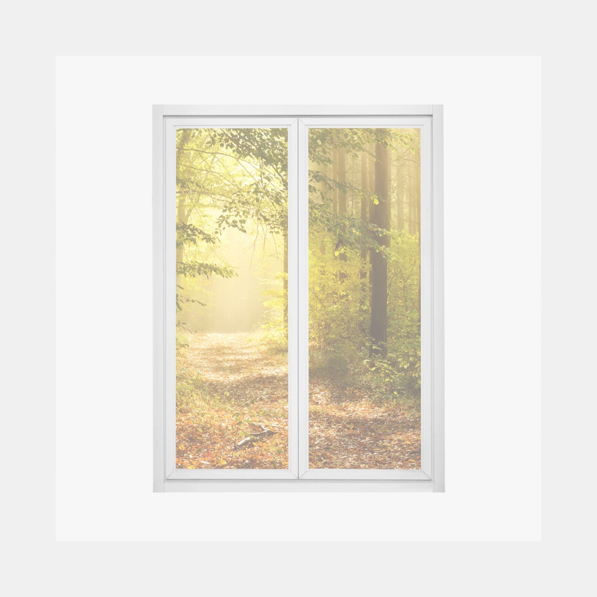 Pegatina para ventana sendero dorado en el bosque – Pixers®