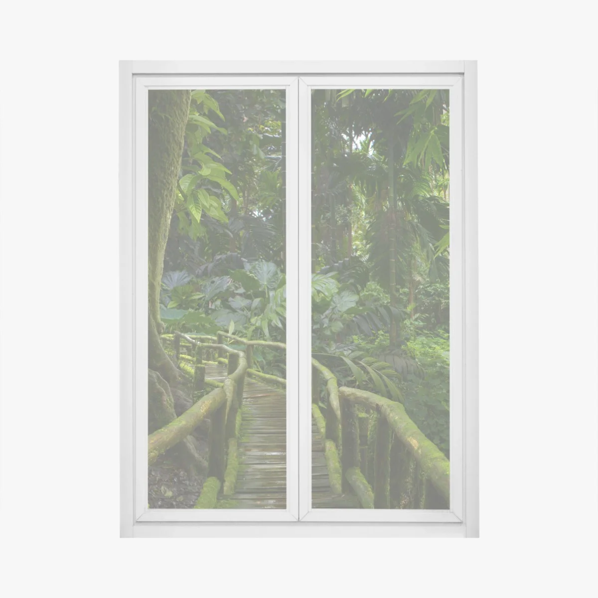 Pegatina para ventana sendero verde en la selva tropical – Pixers® Pegatina para ventana sendero verde en la selva tropical – Pixers®