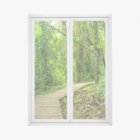 Pegatina para ventana sendero entre la selva tropical – Pixers®