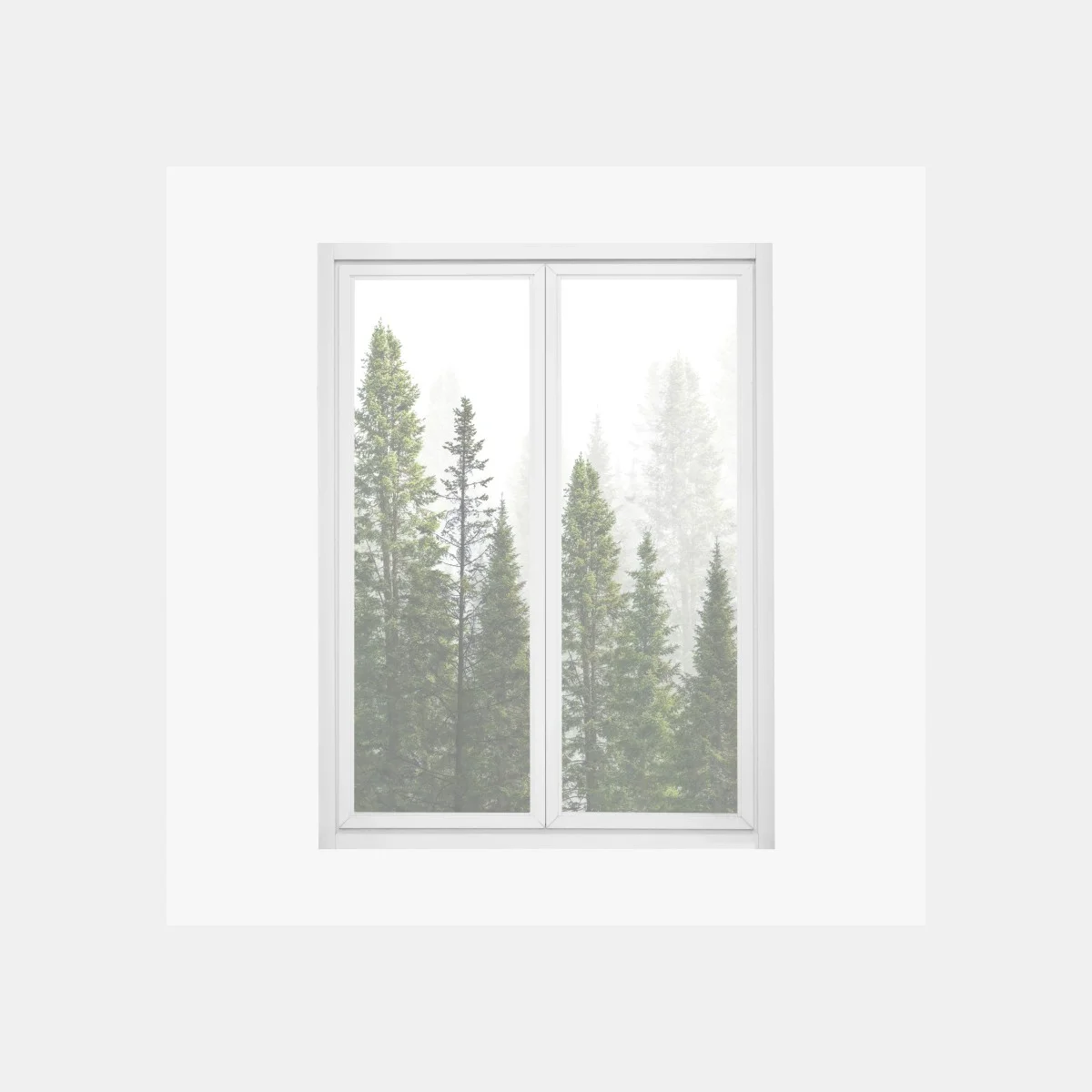 Pegatina para ventana bosque de abetos en niebla – Pixers® Pegatina para ventana bosque de abetos en niebla – Pixers®
