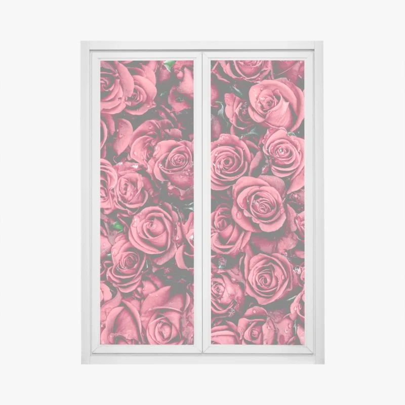 Pegatina para ventana diseño de rosas rojas en detalle