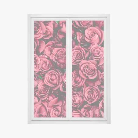 Pegatina para ventana diseño de rosas rojas en detalle – Pixers®