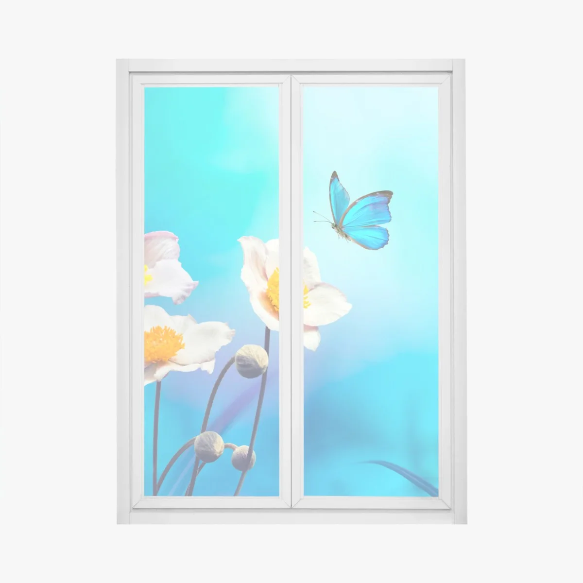 Pegatina para ventana anémonas y mariposa azul sobre fondo turquesa – Pixers® Pegatina para ventana anémonas y mariposa azul sobre fondo turquesa – Pixers®