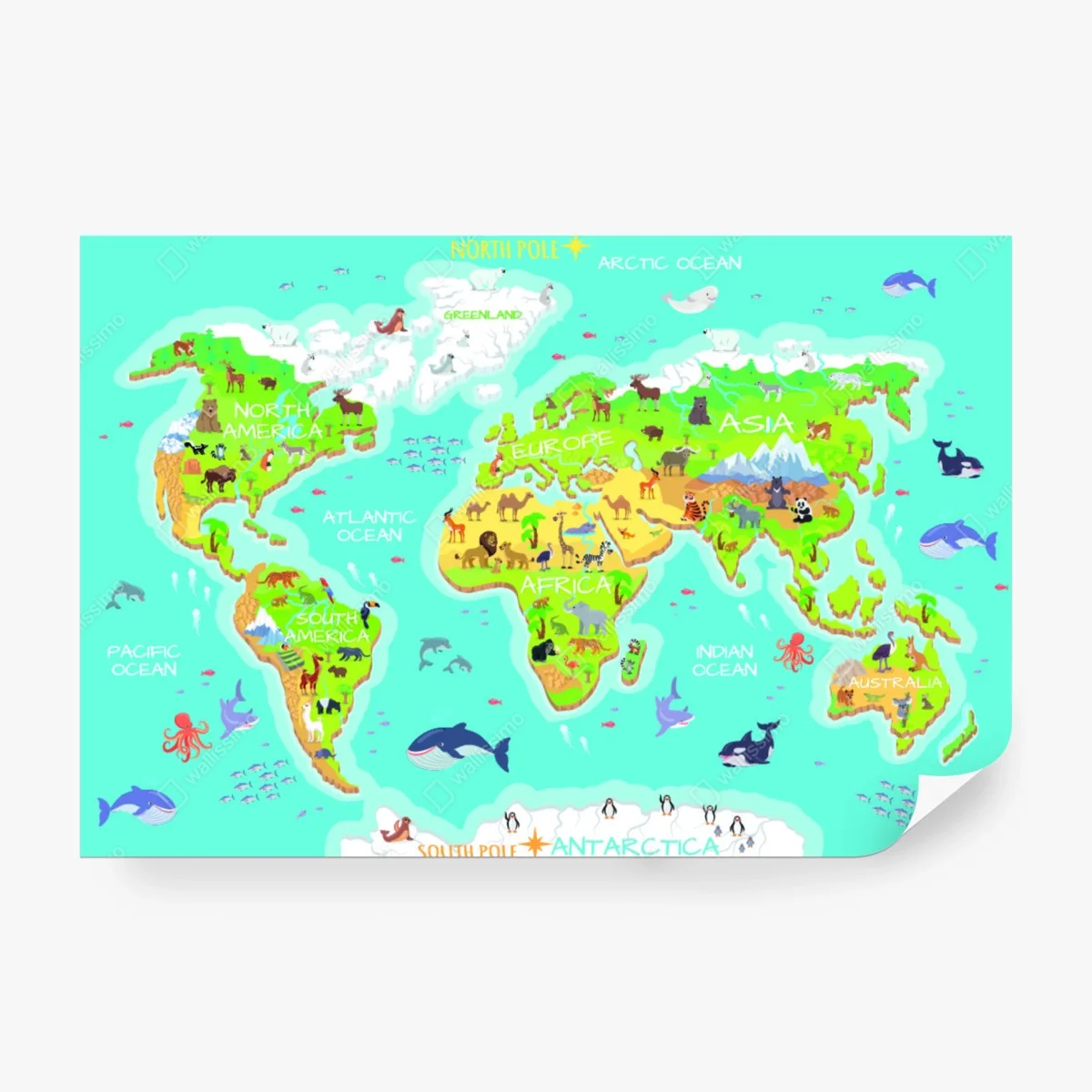 Fototapete bunte weltkarte mit tieren für kinder – Pixers® Fototapete bunte weltkarte mit tieren für kinder – Pixers®