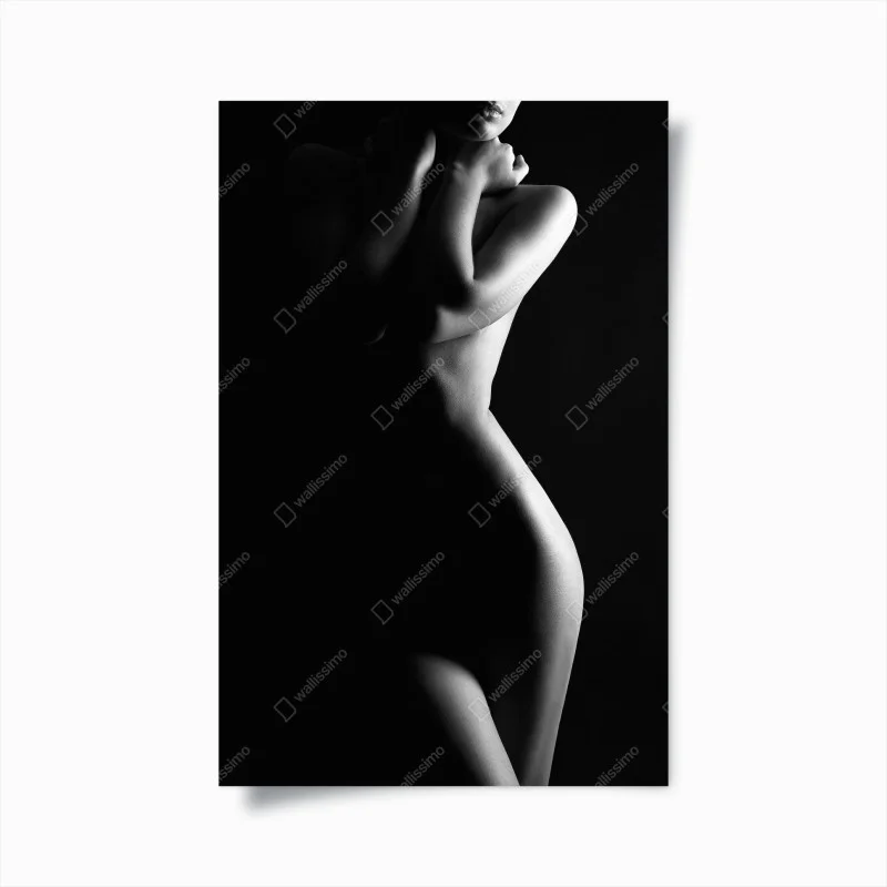 Póster silueta femenina en blanco y negro