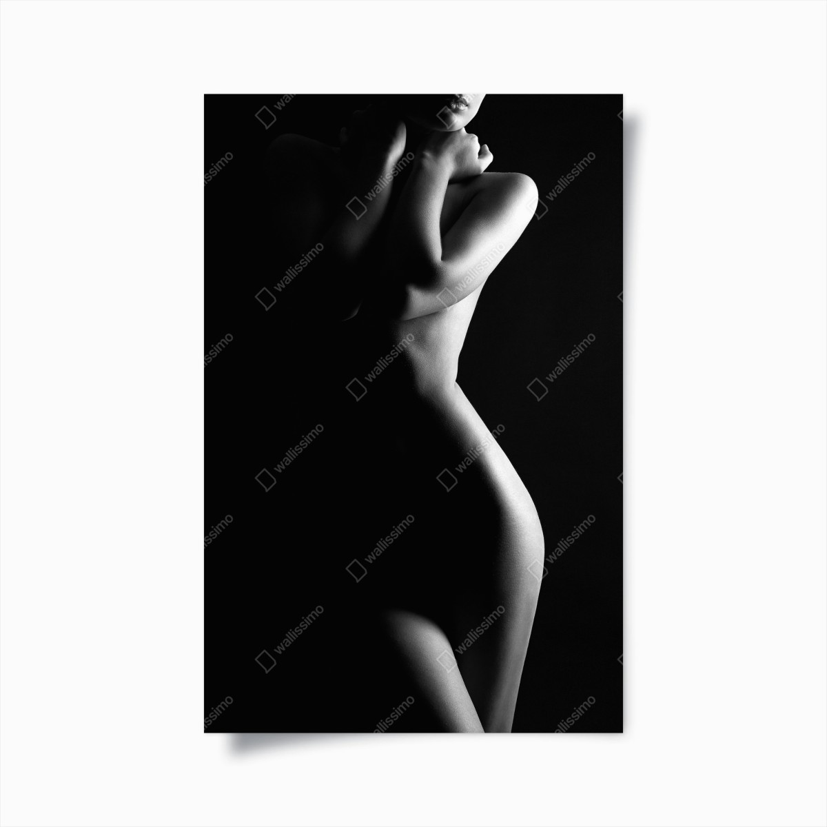 Póster silueta femenina en blanco y negro – Pixers®