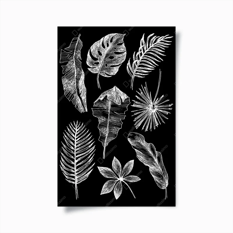 Póster ilustración de hojas tropicales en blanco y negro