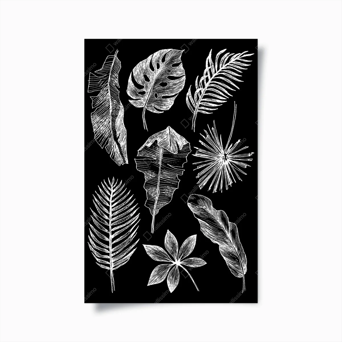 Póster ilustración de hojas tropicales en blanco y negro – Pixers® Póster ilustración de hojas tropicales en blanco y negro – Pixers®
