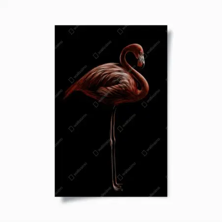 Póster flamenco rojo sobre fondo negro – Pixers®