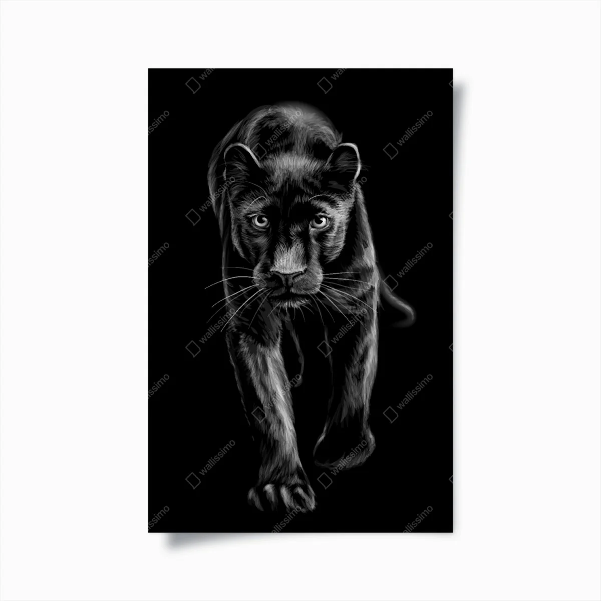 Póster pantera negra con mirada intensa – Pixers® Póster pantera negra con mirada intensa – Pixers®