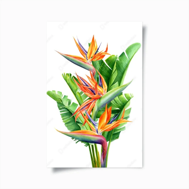 Póster composición tropical de ave del paraíso
