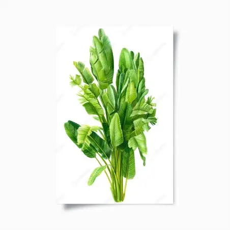 Póster hojas tropicales en acuarela – Pixers®