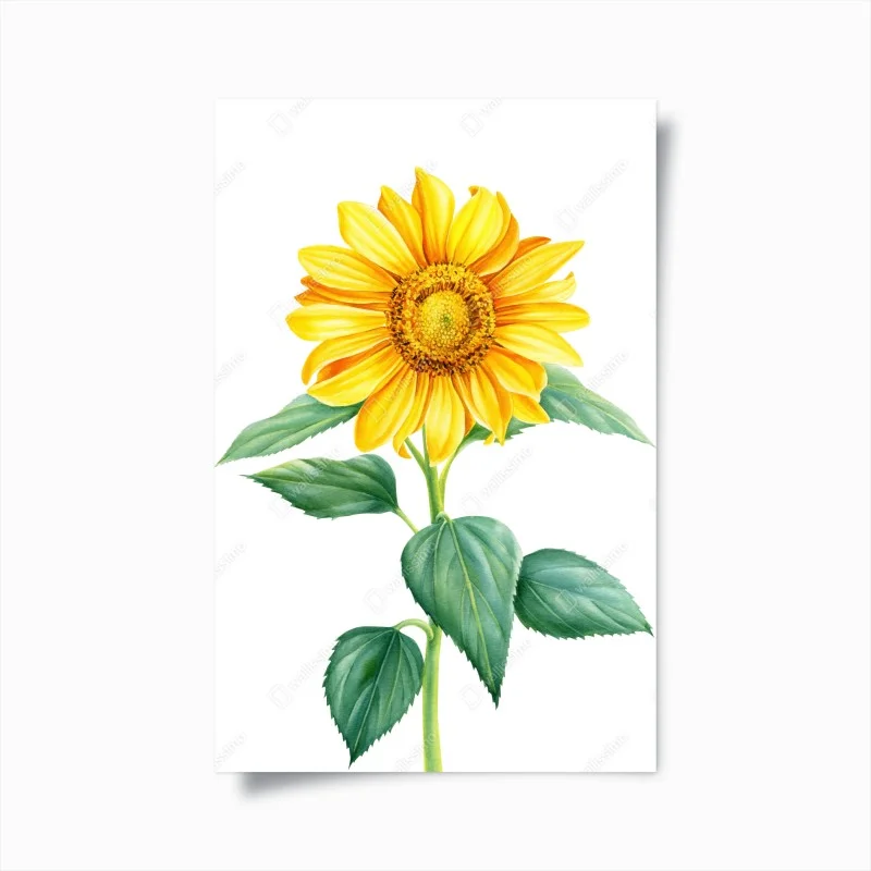 Póster girasol amarillo en acuarela