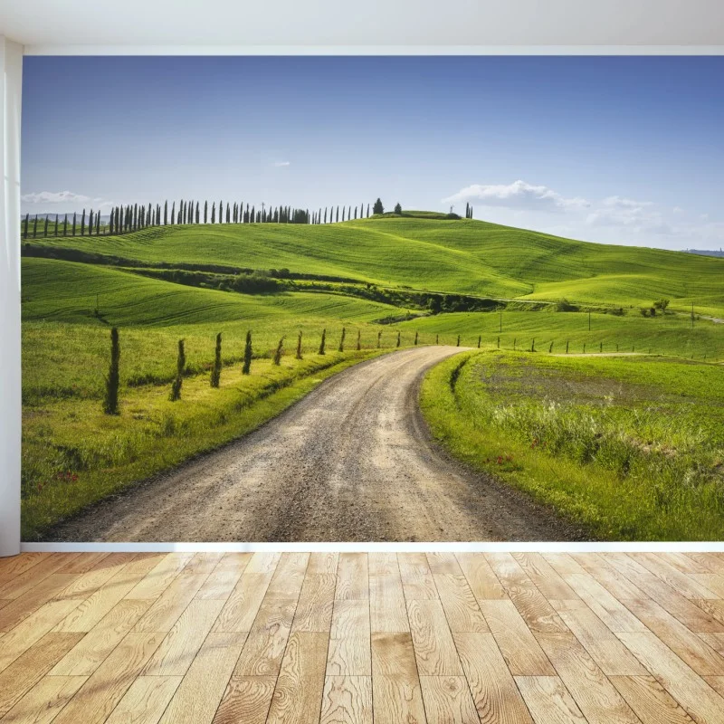 Fotomural camino rural en Monteroni d'Arbia, Toscana