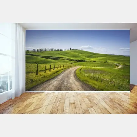 Fotomural camino rural en Monteroni d'Arbia, Toscana – Pixers®