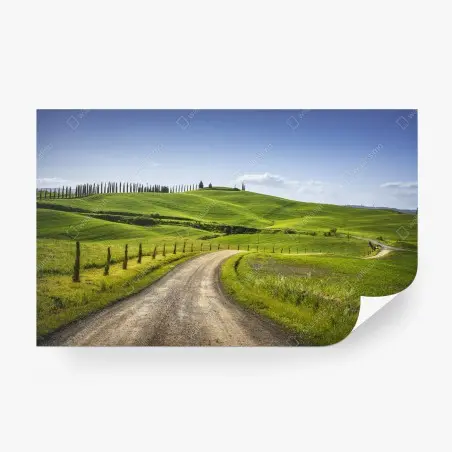 Fotomural camino rural en Monteroni d'Arbia, Toscana – Pixers®