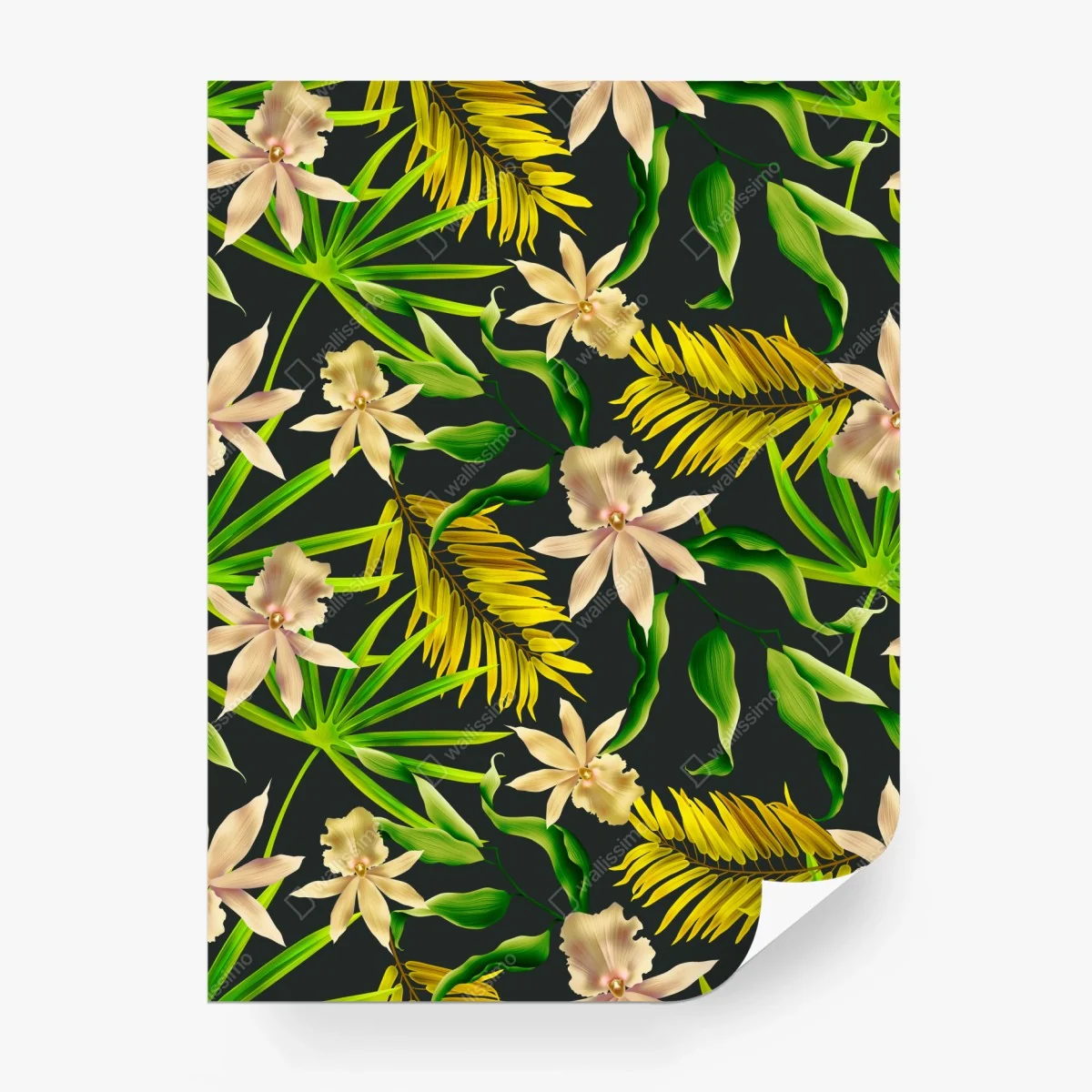 Fotomural estampado tropical de orquídeas sobre fondo oscuro – Pixers® Fotomural estampado tropical de orquídeas sobre fondo oscuro – Pixers®