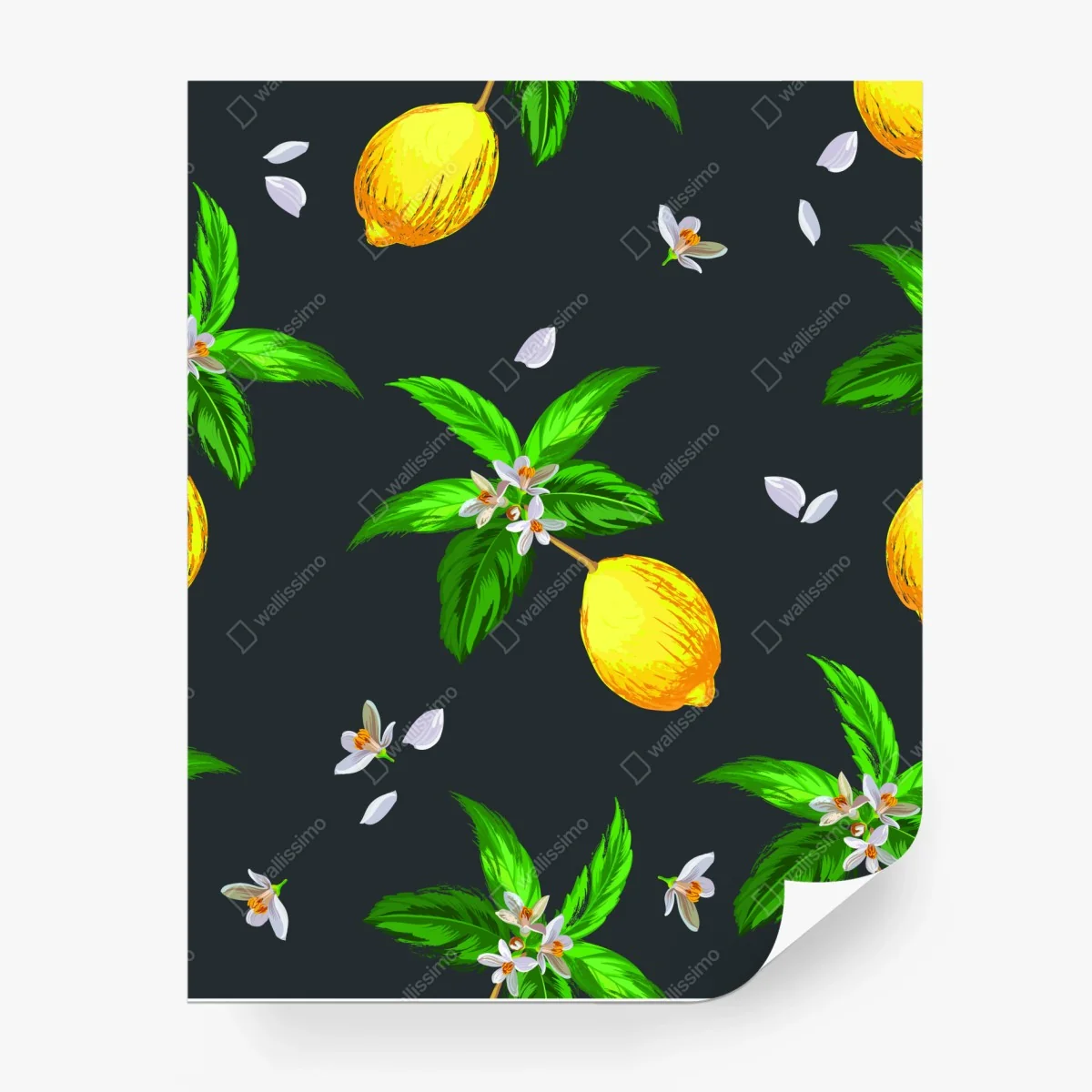 Fotomural estampado de limones y flores sobre fondo oscuro – Pixers® Fotomural estampado de limones y flores sobre fondo oscuro – Pixers®