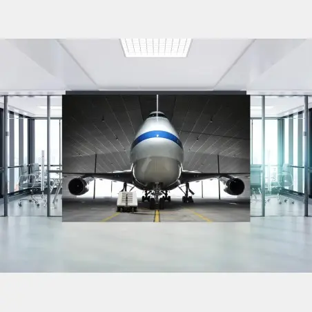 Fotomural vista frontal e imponente de avión en hangar – Pixers®
