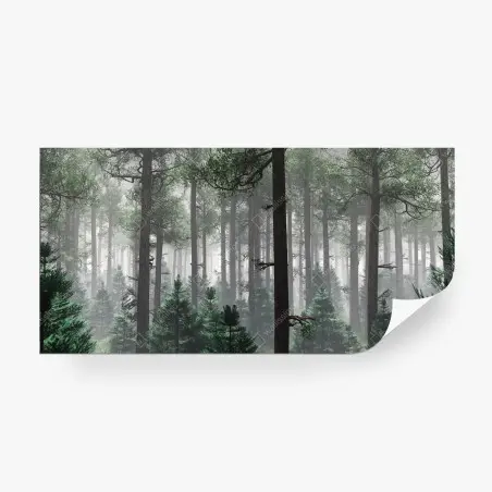 Fotomural bosque brumoso de pinos en calma – Pixers®