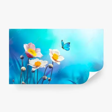 Fotomural anémonas y mariposa azul sobre fondo turquesa – Pixers®