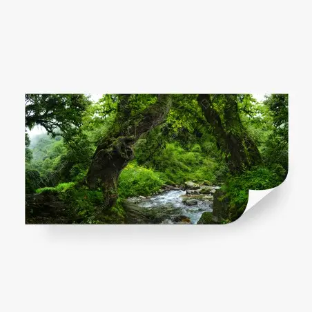 Fotomural arco natural en bosque verde junto al río – Pixers®