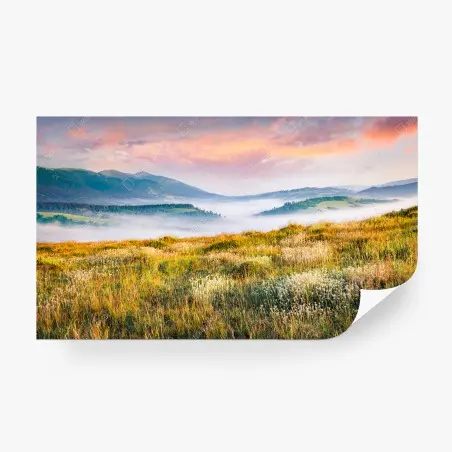 Fotomural amanecer brumoso en la sierra de Borzhava – Pixers®