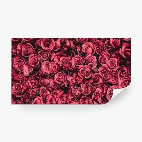 Fotomural diseño de rosas rojas en detalle – Pixers®