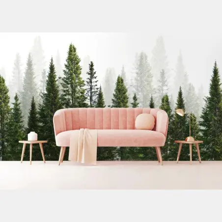 Fotomural bosque de abetos en niebla – Pixers®