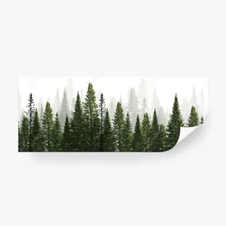 Fotomural bosque de abetos en niebla – Pixers®
