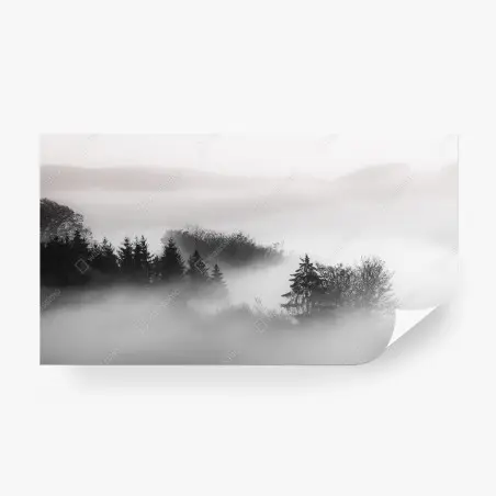Fotomural silencio en el bosque entre nieblas – Pixers®