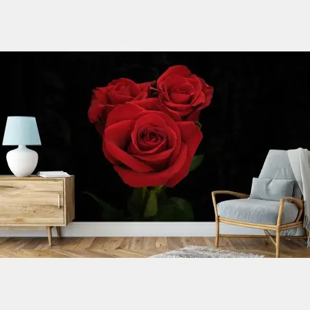 Fotomural rosas rojas sobre fondo negro – Pixers®