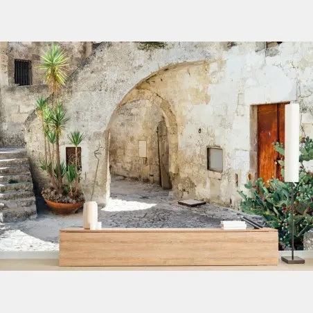 Fotomural patio antiguo con arco y cactus – Pixers®