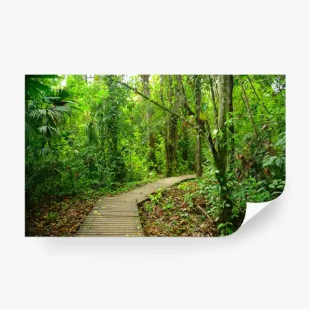 Fotomural sendero entre la selva tropical – Pixers®