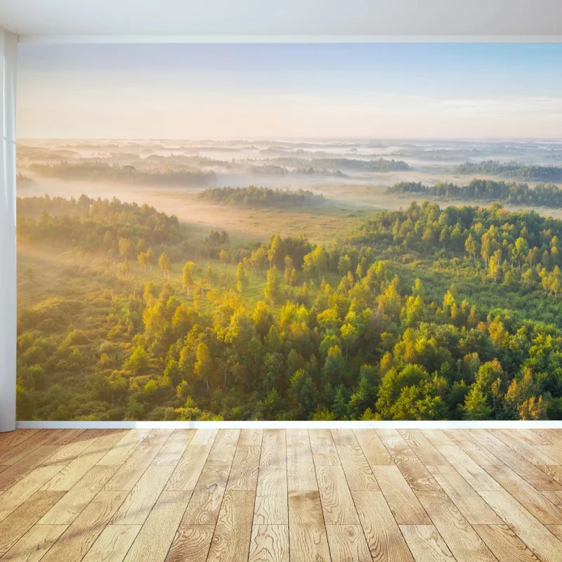 Fotomural amanecer brumoso en el humedal de Zvanets