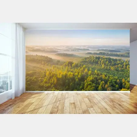 Fotomural amanecer brumoso en el humedal de Zvanets – Pixers®