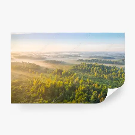 Fotomural amanecer brumoso en el humedal de Zvanets – Pixers®