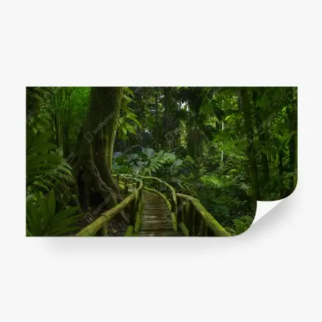 Fotomural sendero verde en la selva tropical – Pixers®