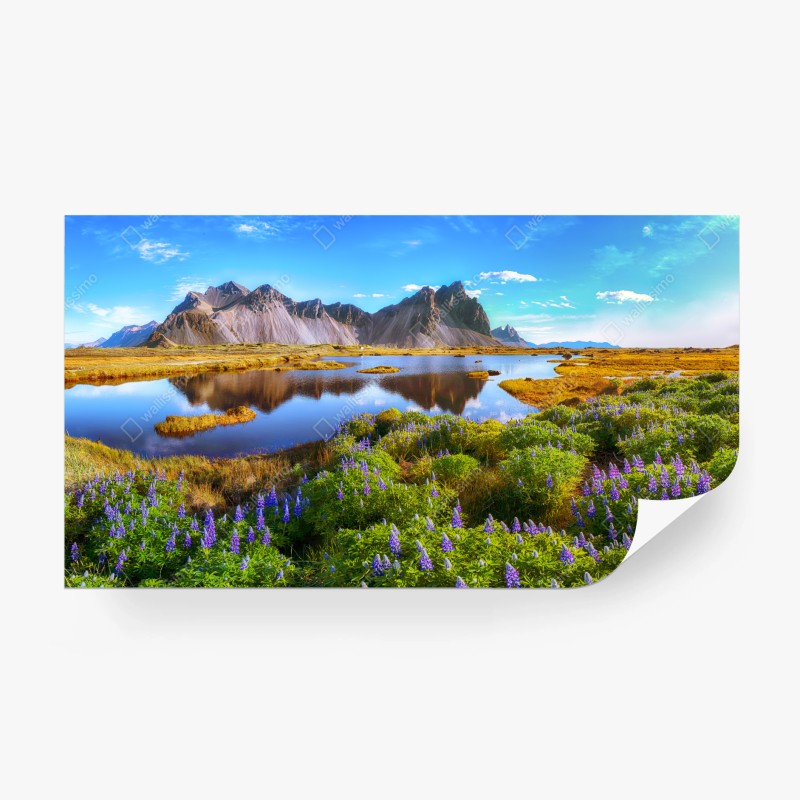 Fotomural lupinos junto a Vestrahorn en Stokksnes