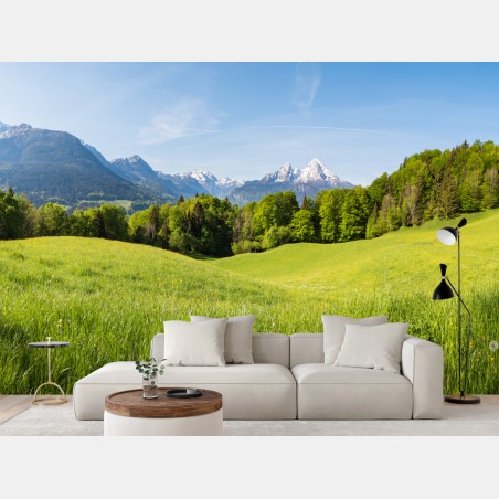 Fotomural paisaje primaveral de pradera y montañas – Pixers®