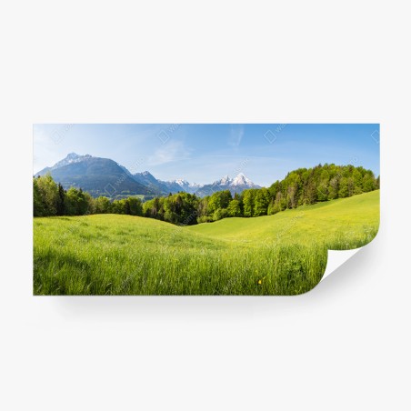 Fotomural paisaje primaveral de pradera y montañas – Pixers®