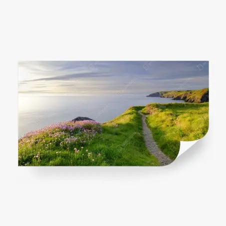 Fotomural sendero costero en Ceibwr Bay al atardecer – Pixers®