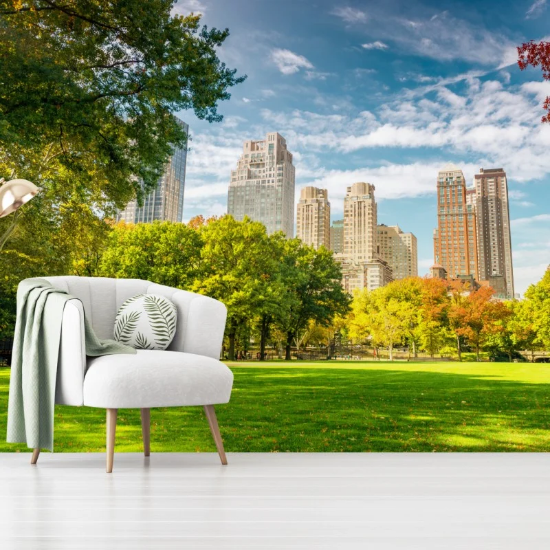 Fotomural brisa otoñal en Central Park, Nueva York