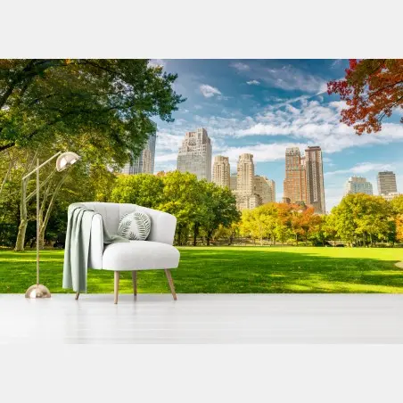 Fotomural brisa otoñal en Central Park, Nueva York – Pixers®