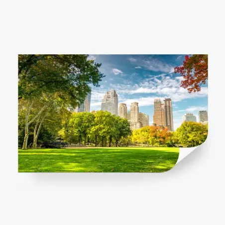 Fotomural brisa otoñal en Central Park, Nueva York – Pixers®