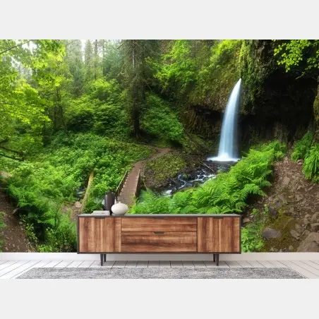 Fotomural bosque verde con cascada y sendero – Pixers®