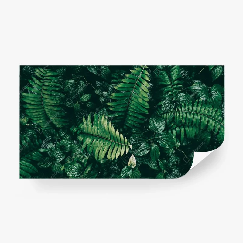 Fotomural mosaico de hojas tropicales en tonos oscuros