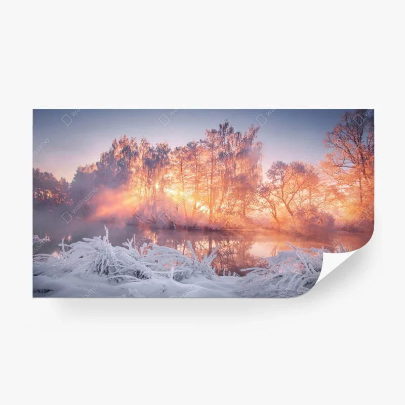 Fotomural amanecer invernal entre árboles helados